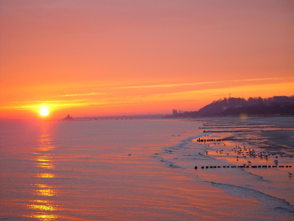 Bio-Hotel Gutshof Insel Usedom Mellenthin ภายนอก รูปภาพ